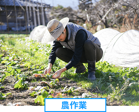 農作業