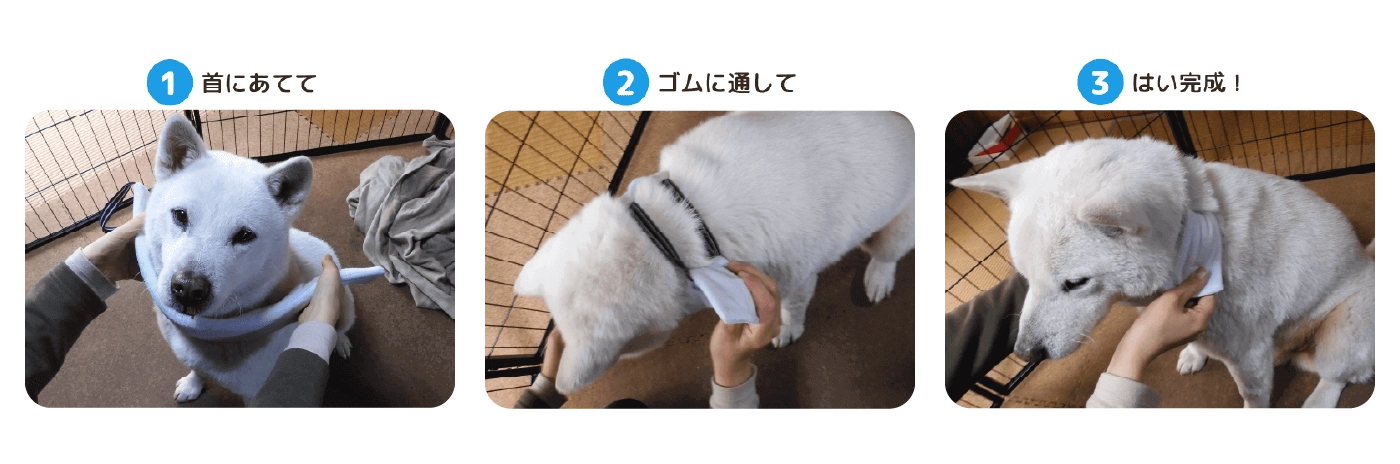 ネックールわんこ（中型犬用）装着方法