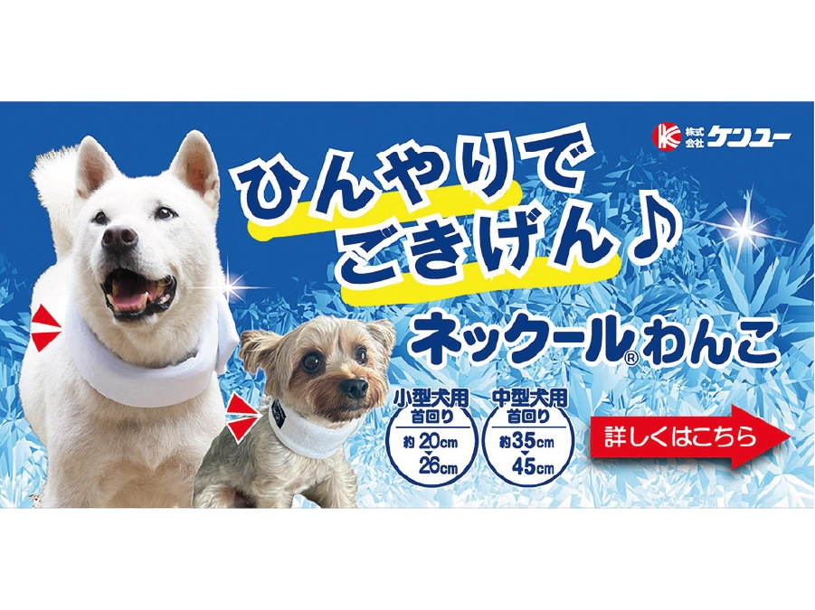 ネックールわんこ