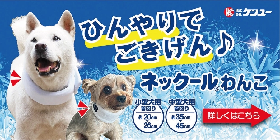 ネックールわんこ