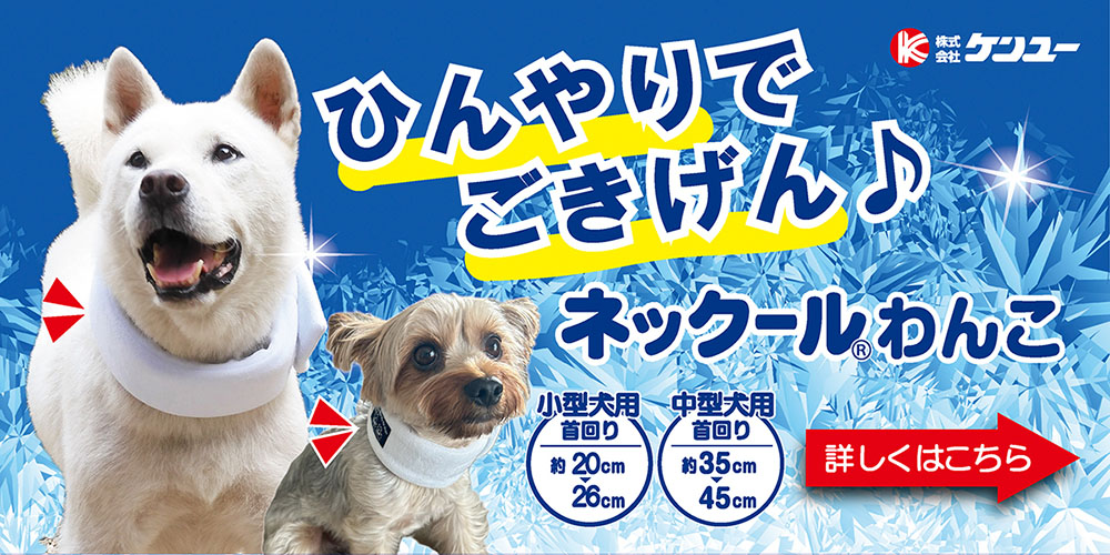 ネックールわんこ